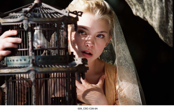 Популярная Натали Дормер