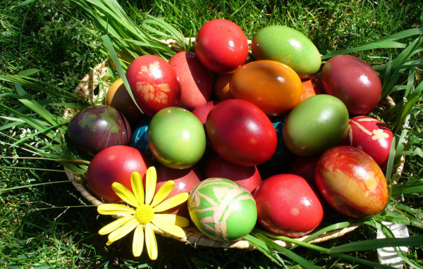 Корзина яиц на траве на Пасху