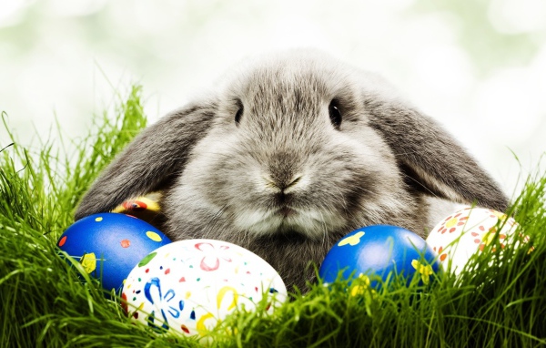 Кролик и пасхальные яйца