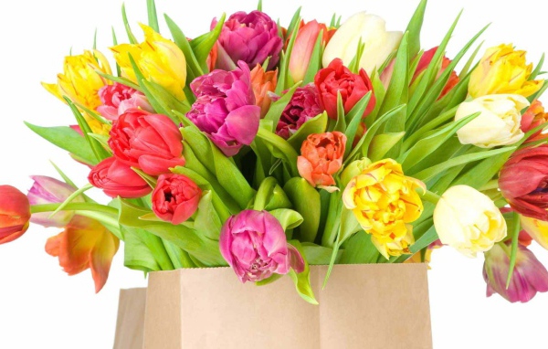 Красивый букет тюльпанов на восьмое марта