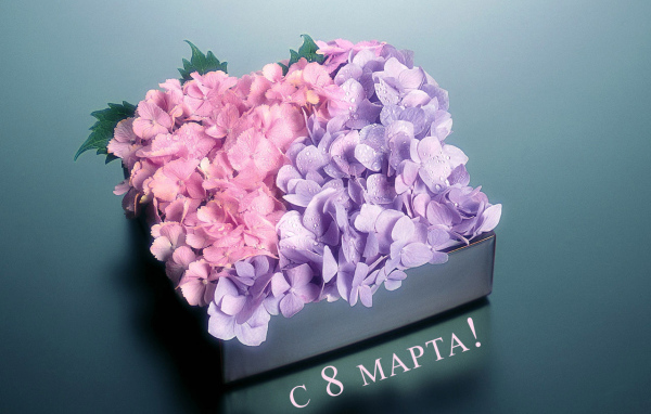 Коробка с цветами на 8 марта