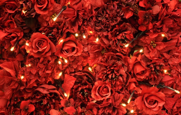 Шикарные красные розы в подарок на восьмое марта