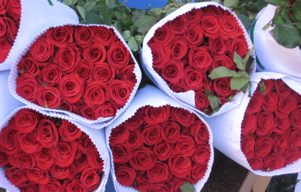 Роскошные букеты красных роз на 8 марта