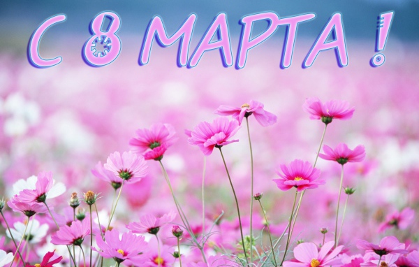 Луговые цветы на 8 марта
