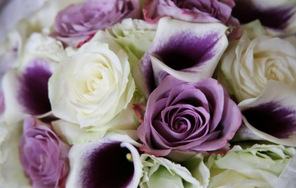 Фиолетовые розы в красивом букете на восьмое марта