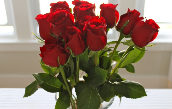 Красные розы на 8 марта