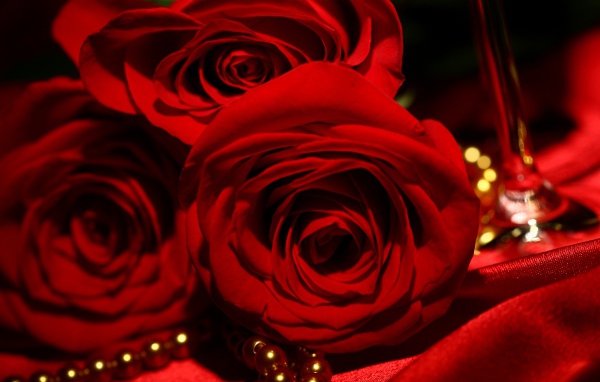 Красные розы на 8 марта на фоне атласа и жемчуга