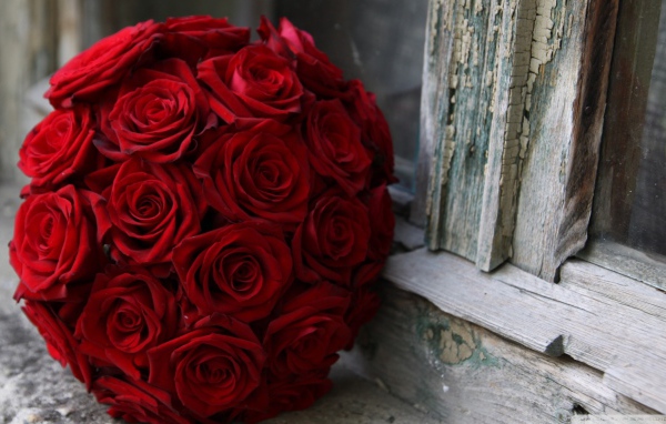 Красные розы на 8 марта возле окна