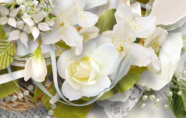 Белая роза и другие цветы, картинка на восьмое марта