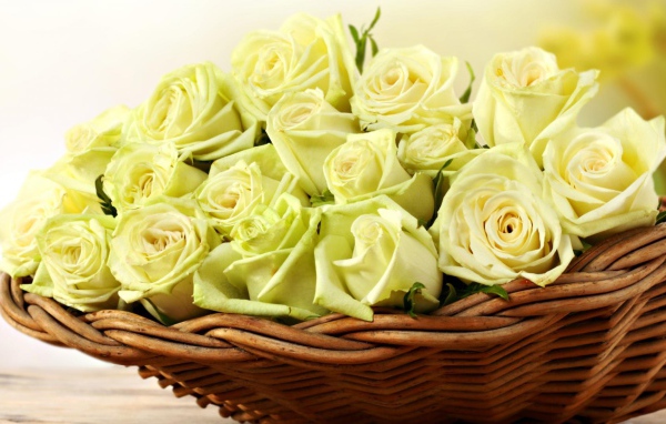 Жёлтые розы в корзине для женщин