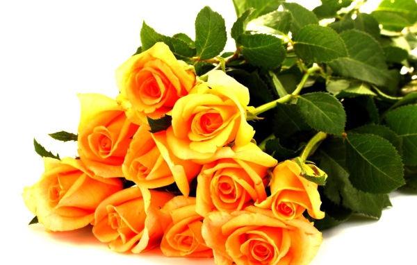 Жёлтые розы в букете для любимой дамы