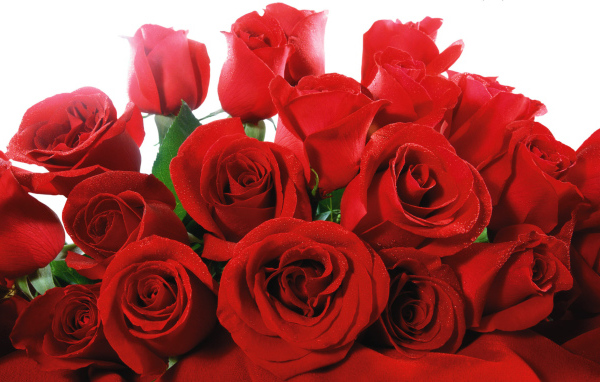 Роскошный букет красных роз на 8 марта