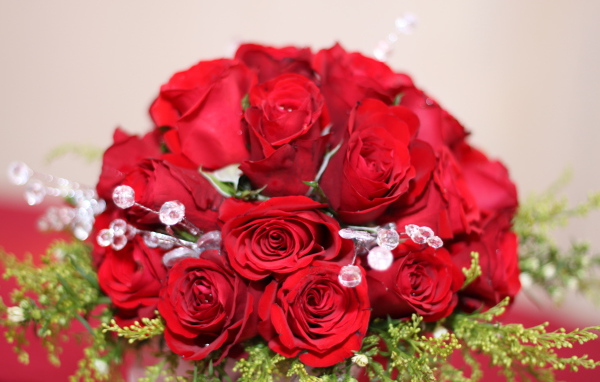 Красные розы на 8 марта с зелеными ветками