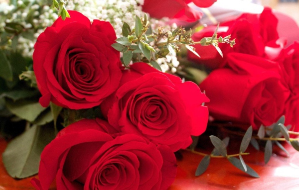 Махровые красные розы на 8 марта