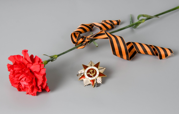 Гвоздика и орден в День Победы 9 мая