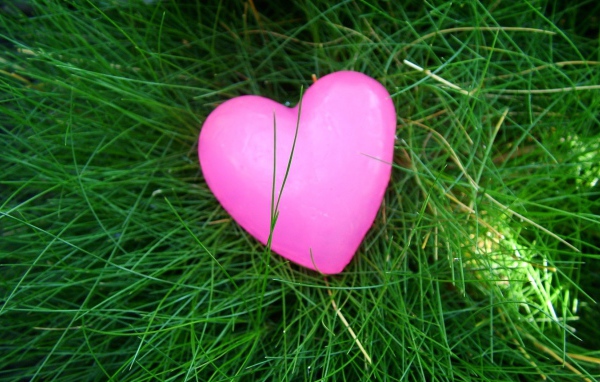 Розовое сердечко на траве