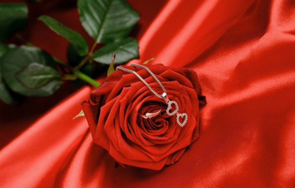 Роза с кулоном на День Святого Валентина