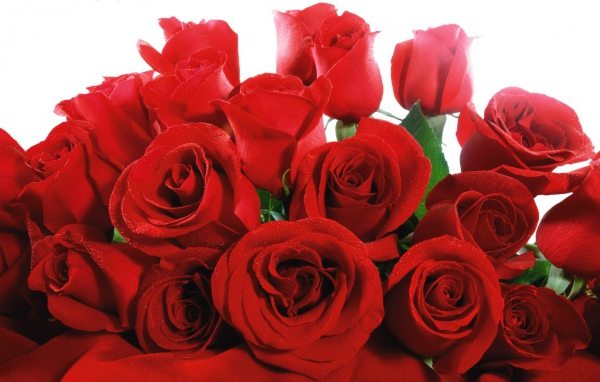Розы в День Святого Валентина