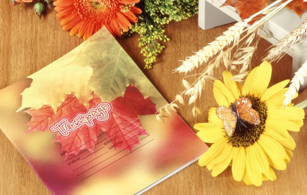 Школьная тетрадь в День знаний 1 сентября