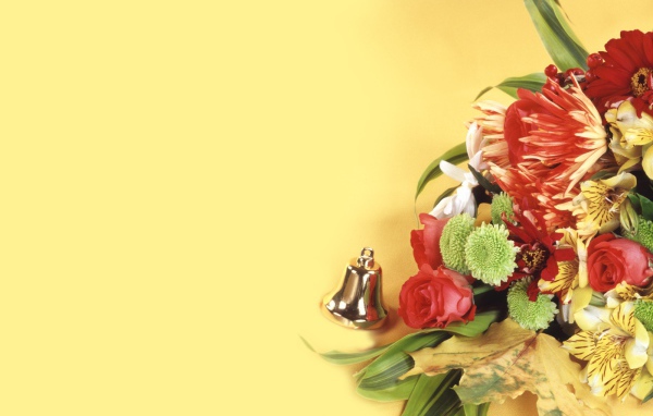 Красивые обои в День знаний 1 сентября