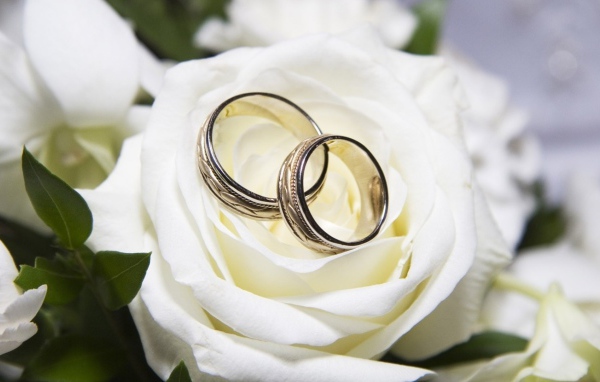 Красивые белые розы и свадебные кольца