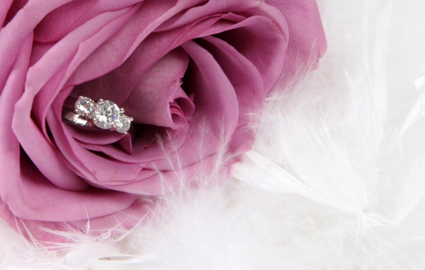 Фиолетовая роза и кольцо, предложение руки и сердца