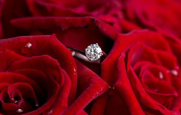 Красные розы и кольцо, предложение руки и сердца