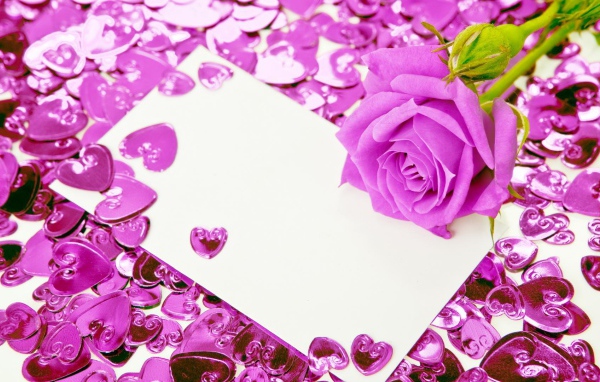 Фиолетовая роза и сердечки
