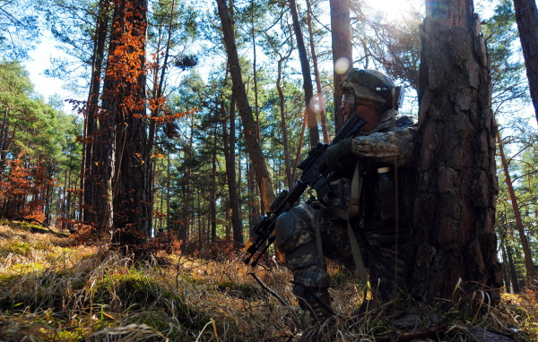 Солдат прячется за деревом