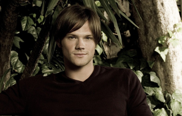 Возлюбленный Актер Джаред Падалеки