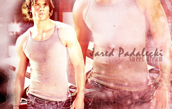  Джаред Падалеки