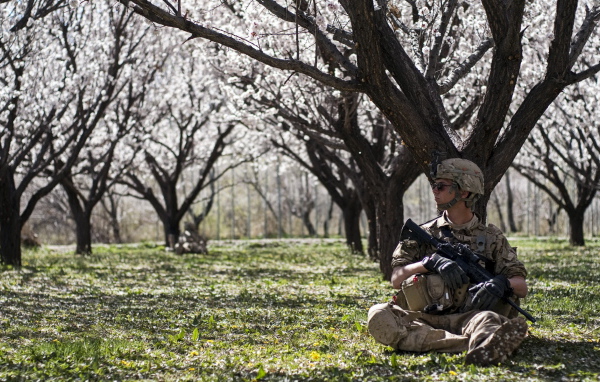 Солдат в цветущем саду