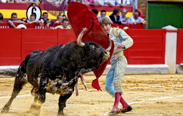 Испанский торреодор