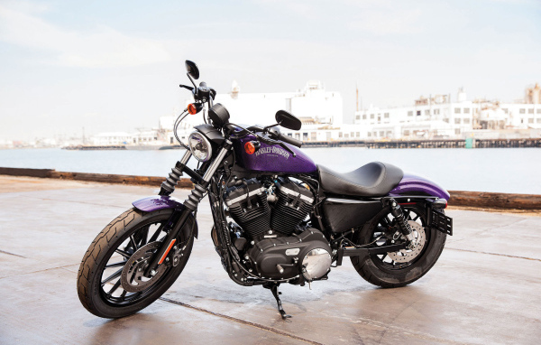 Новый мотоцикл на дороге Harley-Davidson XL 883N Sportster Iron