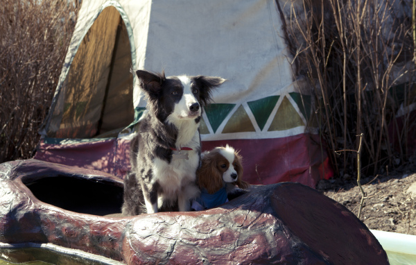 Герои фильма Ёлки лохматые 2014