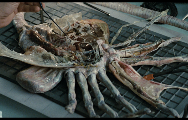 Кино 80-й пришелец