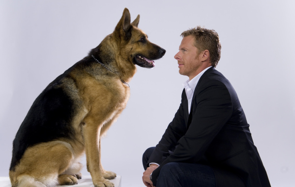  Комиссар Рекс