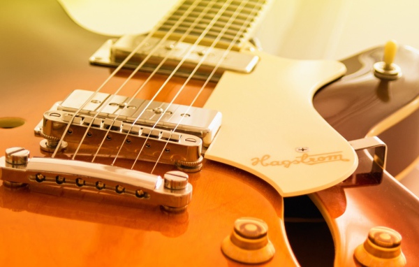 Шестиструнка