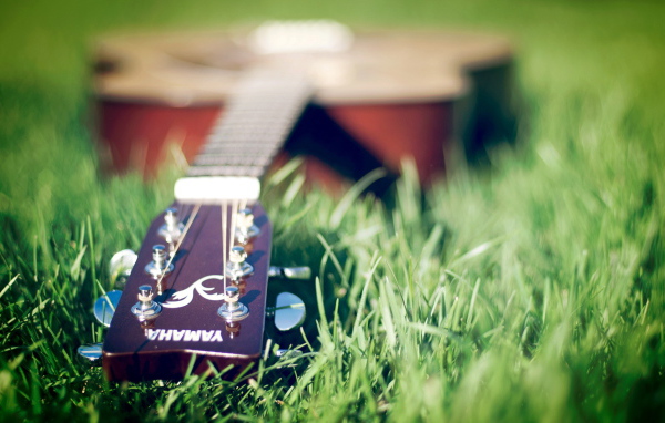 Гитара лежит на траве