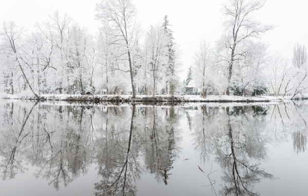 Oтражения деревъев в снегу