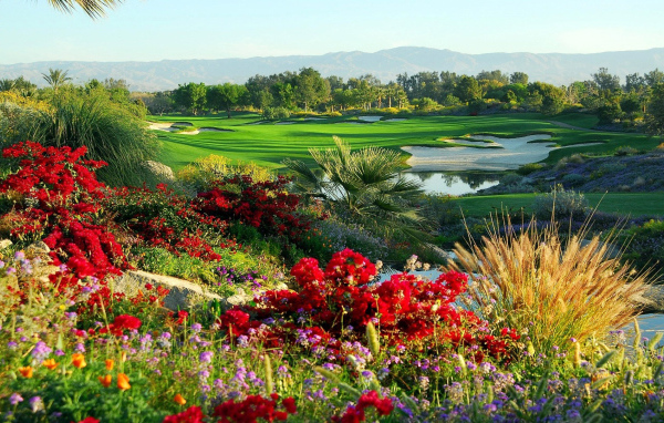 Сказочный сад