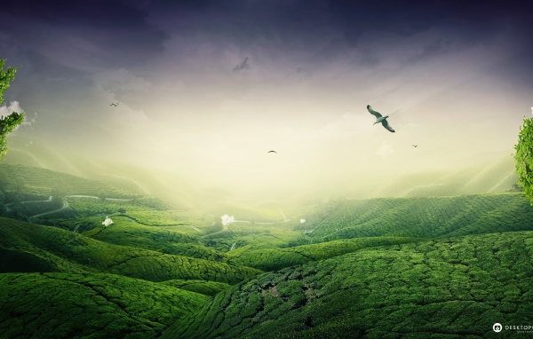 Зеленый пейзаж