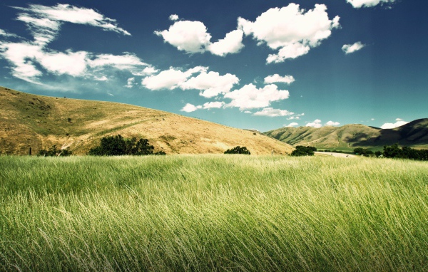 Зеленая долина