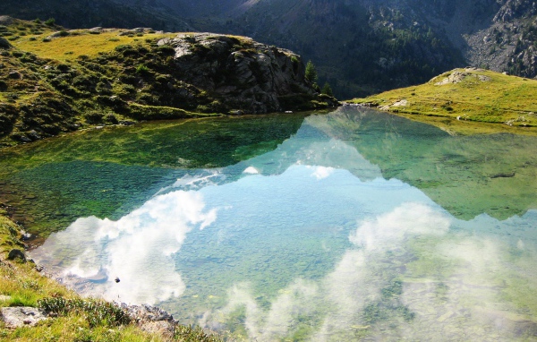 Размышления природы