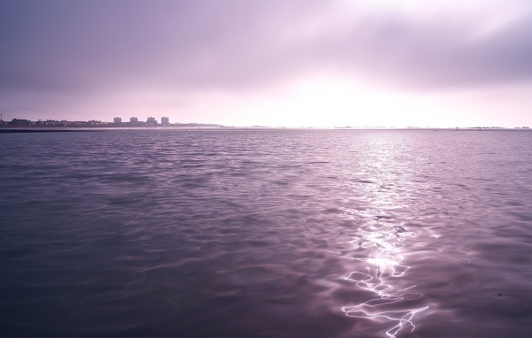 Фиолетовые сумерки