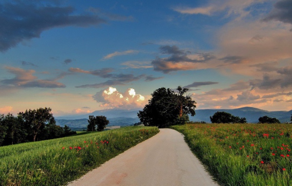 Дорога сельской местности