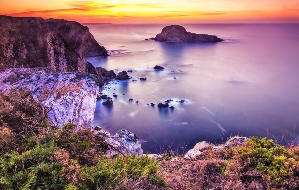 Розовая природа