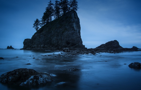 Деревья на прибрежной скале