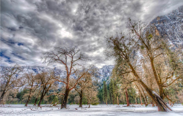 Зима в национальном парке