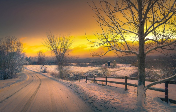 Yellow winter sunset